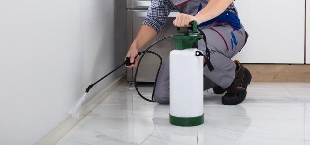 Exterminador de cinches en Minnesota